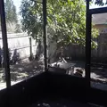 2 bedrooms apartment for rent in Azalea Park - East Orlando, Orlando