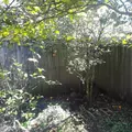 2 bedrooms apartment for rent in Azalea Park - East Orlando, Orlando