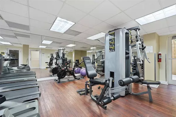 1 bedroom apartment for rent in Coconut Grove - Miami, Miami