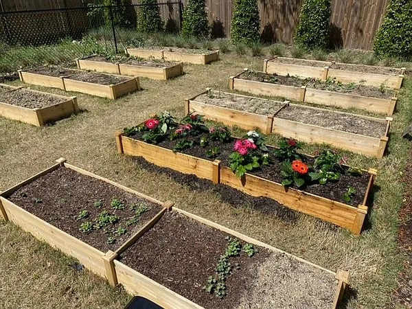 Coliving in Downtown Raleigh - Central Raleigh, Raleigh