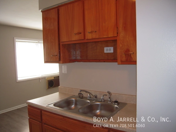 1 bedroom apartment for rent in Chatham - Far Southeast Side, Chicago