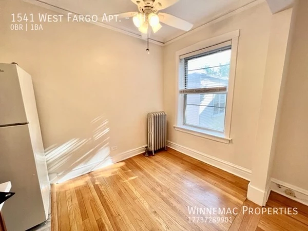 Studio Apartment for rent in Rogers Park - Far North Side, Chicago