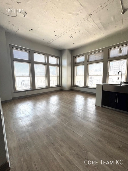 1 bedroom apartment for rent in Downtown Kansas City - KCMO, Kansas City