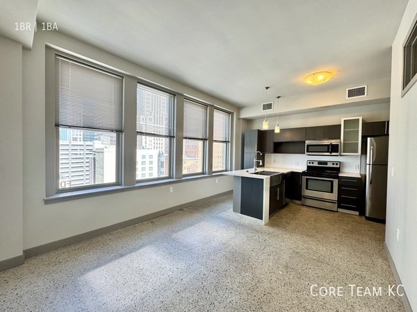 1 bedroom apartment for rent in Downtown Kansas City - KCMO, Kansas City