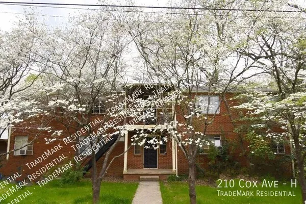 1 bedroom apartment for rent in Cameron Park - Central Raleigh, Raleigh