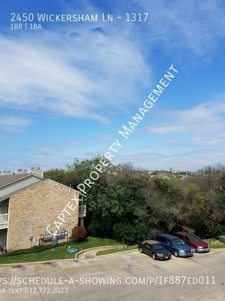 1 bedroom apartment for rent in East Riverside Oltorf - South Central Austin, Austin