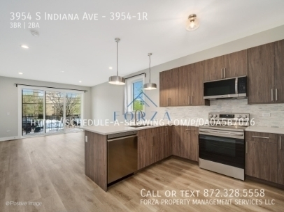 3 bedrooms apartment for rent in Bronzeville - Central, Chicago