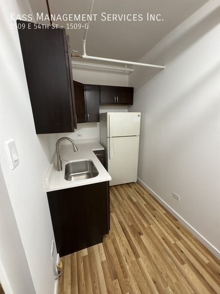 1 bedroom apartment for rent in Hyde Park - South Side, Chicago