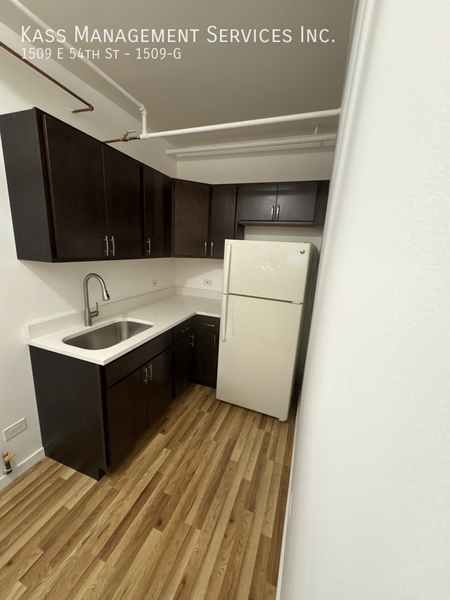1 bedroom apartment for rent in Hyde Park - South Side, Chicago