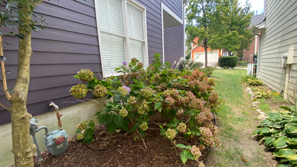 Coliving in Research Triangle Park - Durham, Raleigh