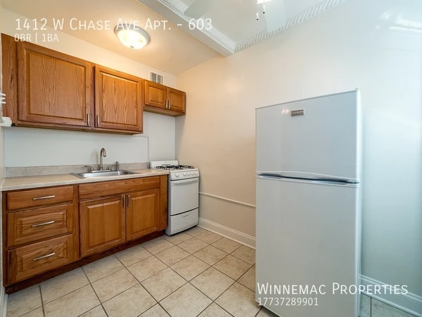 Studio Apartment for rent in Rogers Park - Far North Side, Chicago