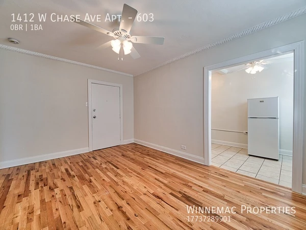 Studio Apartment for rent in Rogers Park - Far North Side, Chicago