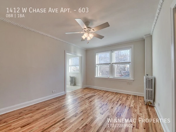 Studio Apartment for rent in Rogers Park - Far North Side, Chicago