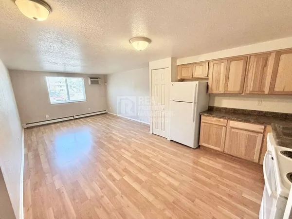 1 bedroom apartment for rent in Washington Virginia Vale - East Denver, Denver