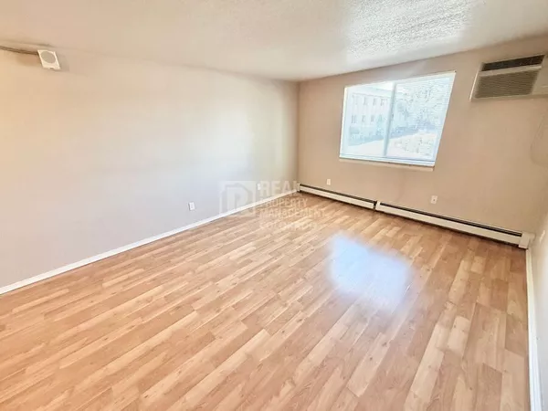1 bedroom apartment for rent in Washington Virginia Vale - East Denver, Denver