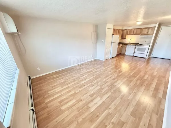 1 bedroom apartment for rent in Washington Virginia Vale - East Denver, Denver