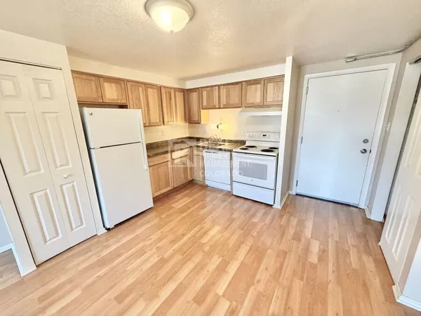 1 bedroom apartment for rent in Washington Virginia Vale - East Denver, Denver