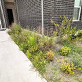 Coliving in Cedar Park - North Austin, Austin