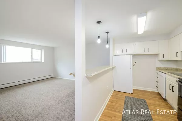 2 bedrooms apartment for rent in Berkeley - West Denver, Denver