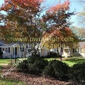 2 bedrooms apartment for rent in Anderson Heights - North Raleigh, Raleigh