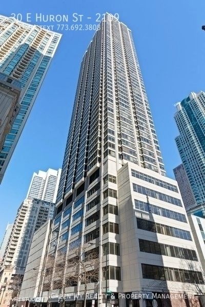 2 bedrooms apartment for rent in Magnificent Mile - Central, Chicago