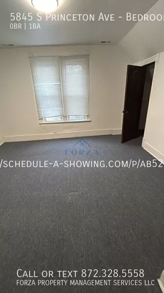 Studio Apartment for rent in Washington Park - South Side, Chicago