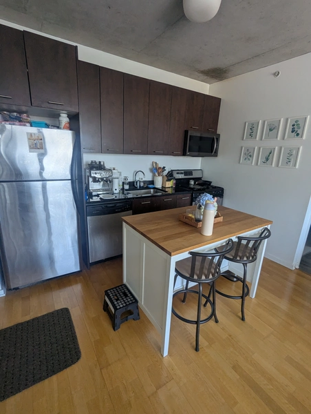 1 bedroom apartment for rent in Greektown - West Side, Chicago