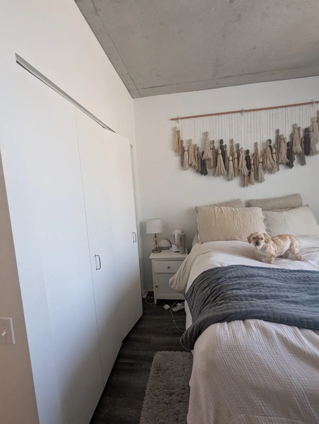 1 bedroom apartment for rent in Greektown - West Side, Chicago