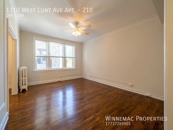 1 bedroom apartment for rent in Rogers Park - Far North Side, Chicago