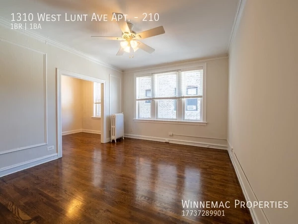 1 bedroom apartment for rent in Rogers Park - Far North Side, Chicago