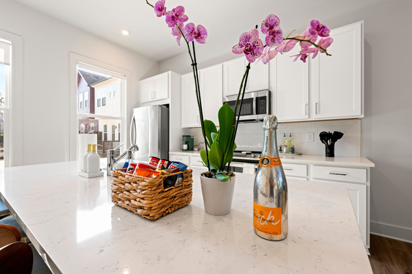 1 bedroom apartment for rent in South Atlanta - South Atl, Atlanta