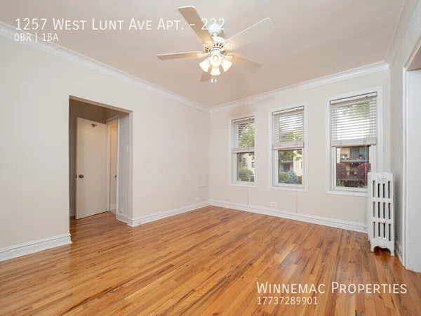 Studio Apartment for rent in Rogers Park - Far North Side, Chicago