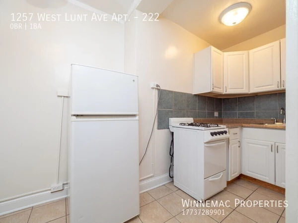 Studio Apartment for rent in Rogers Park - Far North Side, Chicago