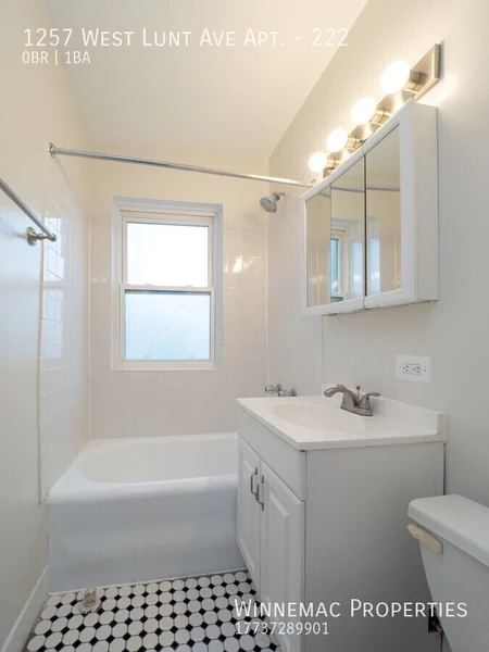 Studio Apartment for rent in Rogers Park - Far North Side, Chicago