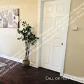 1 bedroom apartment for rent in Harvard Place / Eastlawn - East SATX, San Antonio