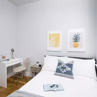 Coliving in Williamsburg - Brooklyn, New York
