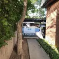 1 bedroom apartment for rent in The Avenues - Central SLC, Salt Lake City