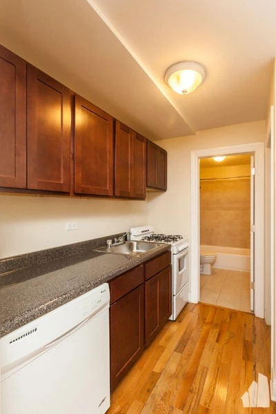 1 bedroom apartment for rent in Gold Coast - Central, Chicago