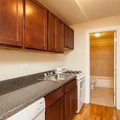 1 bedroom apartment for rent in Gold Coast - Central, Chicago
