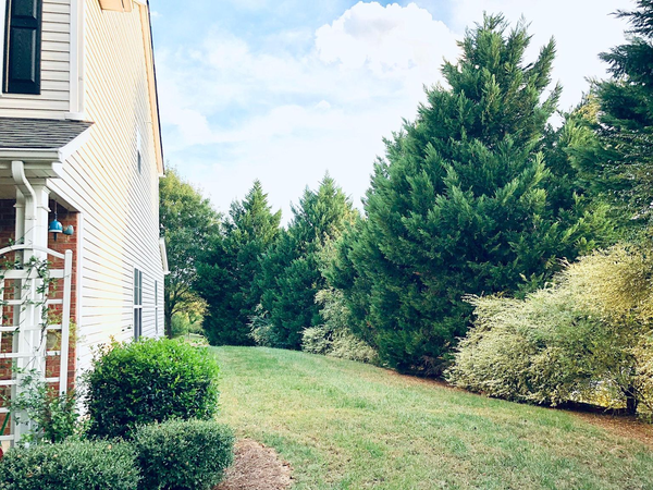 Coliving in Sardis Woods - East Charlotte, Charlotte