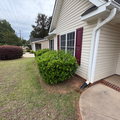 Coliving in Kannapolis - North Charlotte, Charlotte