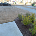 Coliving in Bryson Village - Outer Triangle, Raleigh