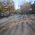 Coliving in Fairmont - Central Raleigh, Raleigh