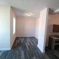 2 bedrooms apartment for rent in Fuller Park - South Side, Chicago