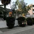 Studio Apartment for rent in Encanto - Phoenix, Phoenix