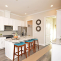 Coliving in Carrboro - Chapel Hill, Raleigh