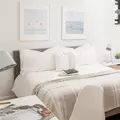 Coliving in Harlem - Manhattan, New York