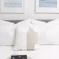 Coliving in Harlem - Manhattan, New York
