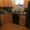 1 bedroom apartment for rent in West Town - West Side, Chicago