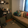 1 bedroom apartment for rent in West Town - West Side, Chicago